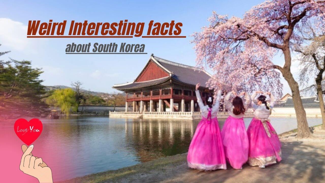 Weird Interesting facts about South Korea | You may never hear!