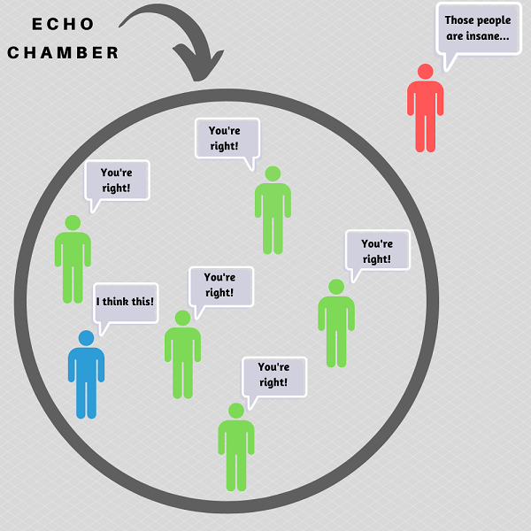 The Echo Chamber Effect Example